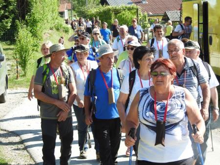Pomlad v prleških goricah 2017 37